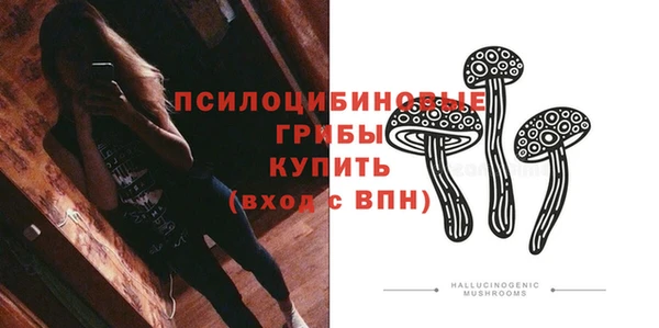 индика Дмитров