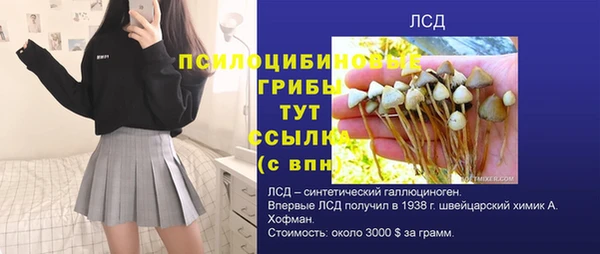 дурь Дмитриев