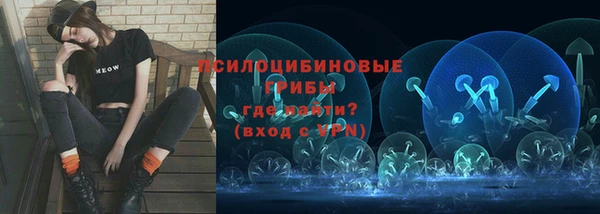индика Дмитров