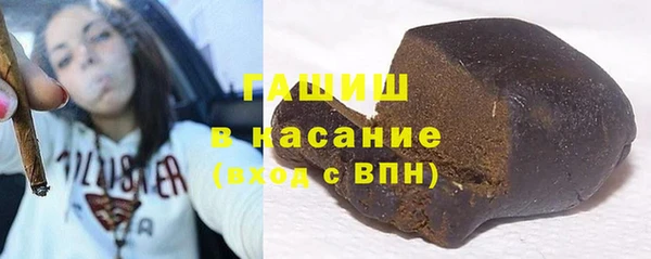 индика Дмитров