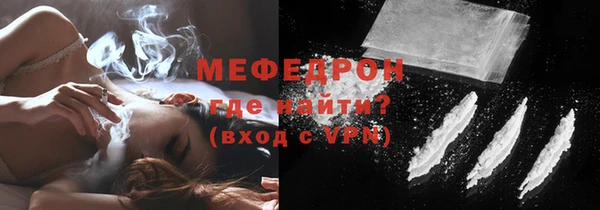 индика Дмитров