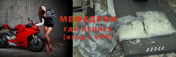 индика Дмитров