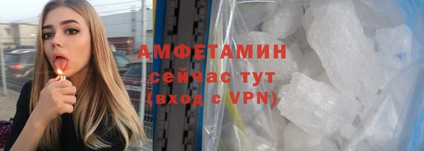 индика Дмитров