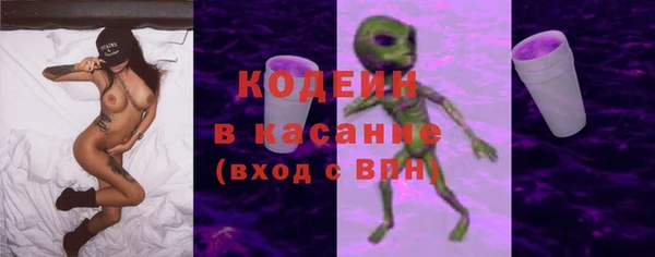 индика Дмитров