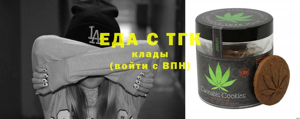 индика Дмитров