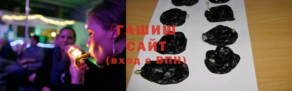 индика Дмитров