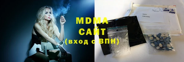 индика Дмитров
