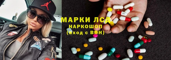 индика Дмитров