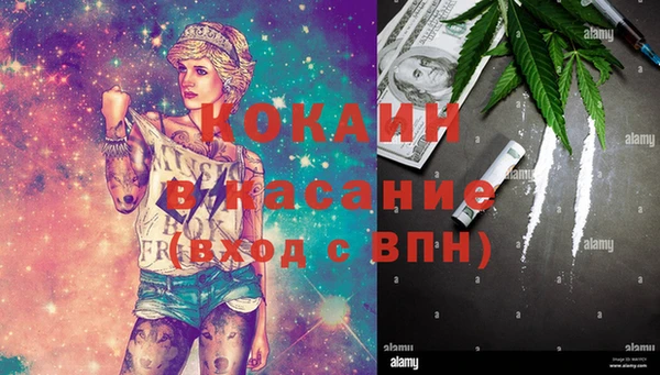 дурь Дмитриев