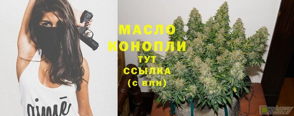 индика Дмитров