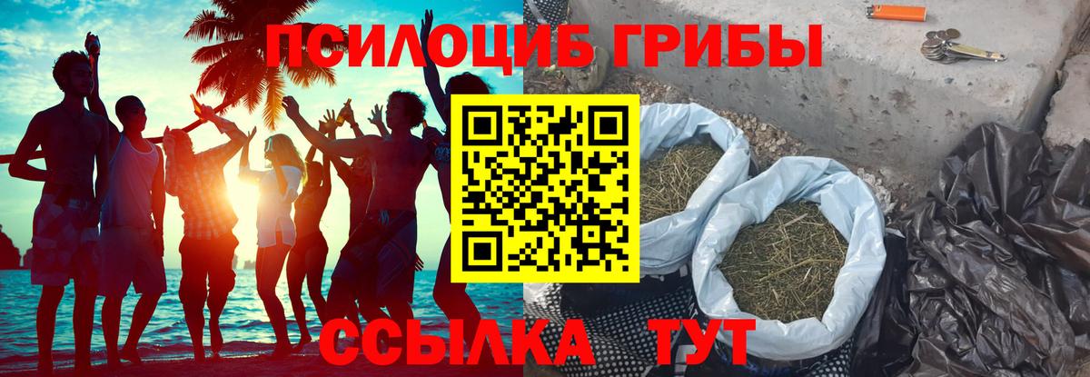 Псилоцибиновые грибы Magic Shrooms Тихвин