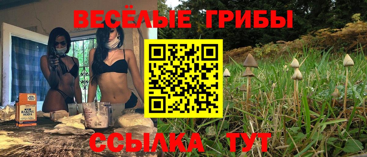 где можно купить наркотик  Псилоцибиновые грибы Magic Shrooms  Вход с VPN  Тихвин 